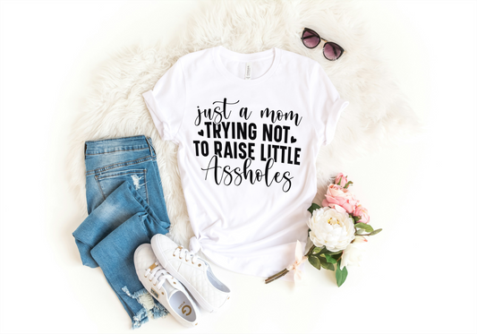 Just a Mom Trying Not to Raise Little Assholes Funny Woman T-Shirt